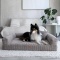 Ortopedyczna sofa dla psa PARMA Cappuccino