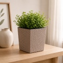 Beżowa doniczka rattanowa 17x17 cm z rośliną – kwadratowa donica do domu i ogrodu