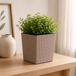 Beżowa doniczka rattanowa 17x17 cm z rośliną – kwadratowa donica do domu i ogrodu